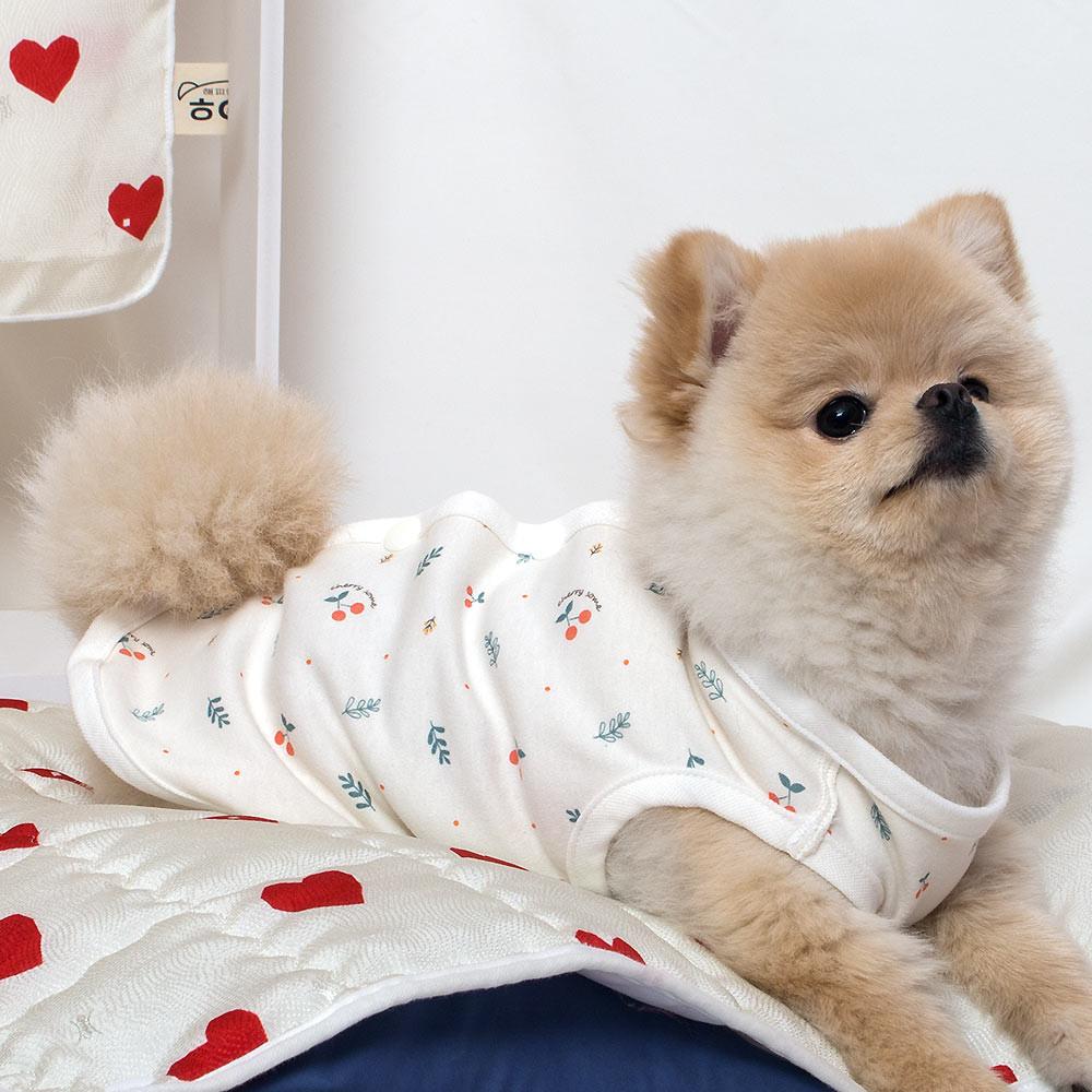 강아지옷 오가닉실내복 양면조끼 노령견 아토피 애견옷 체리썸XS