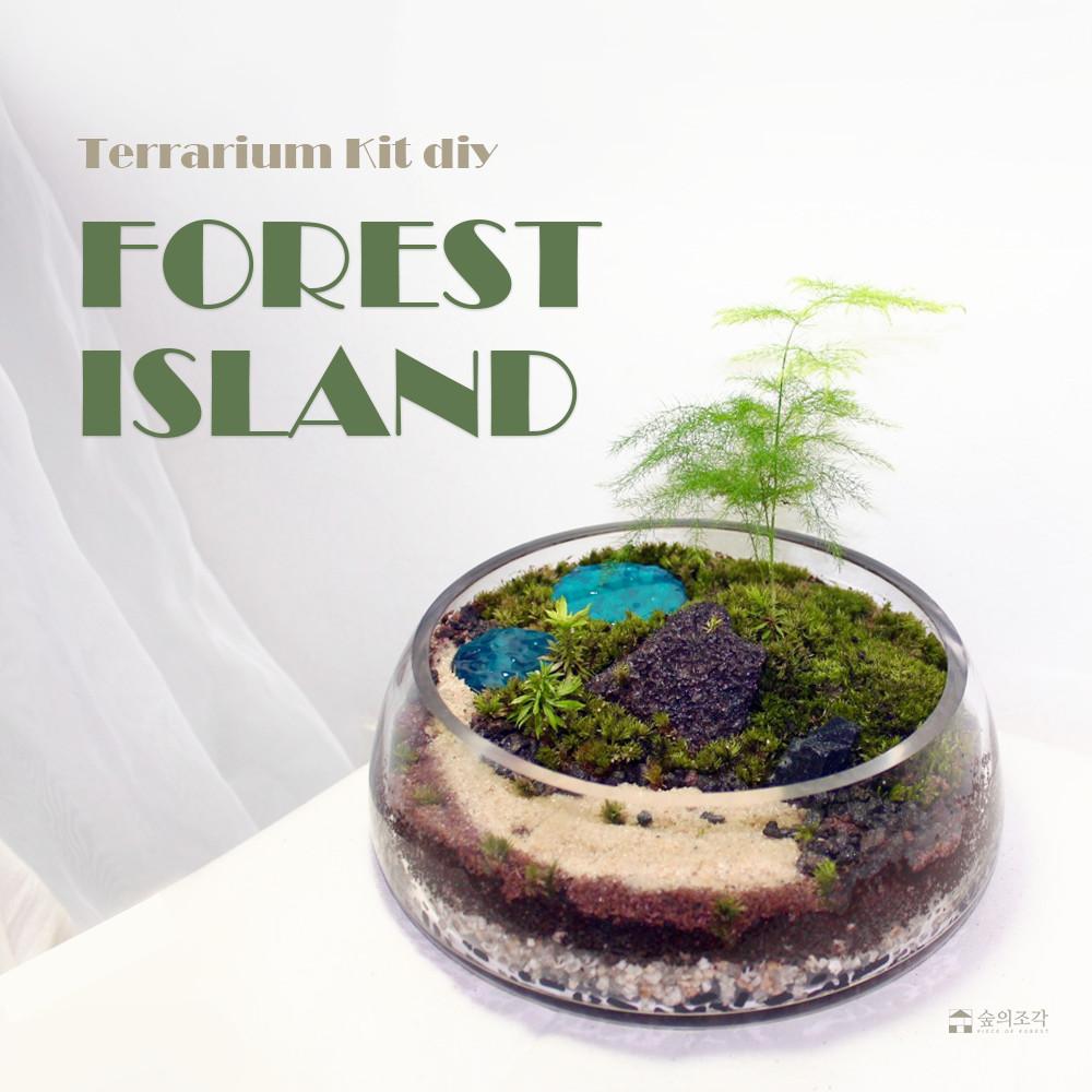 아스파라거스나누스 테라리움키트 이끼테라리움 습지식물 숲섬