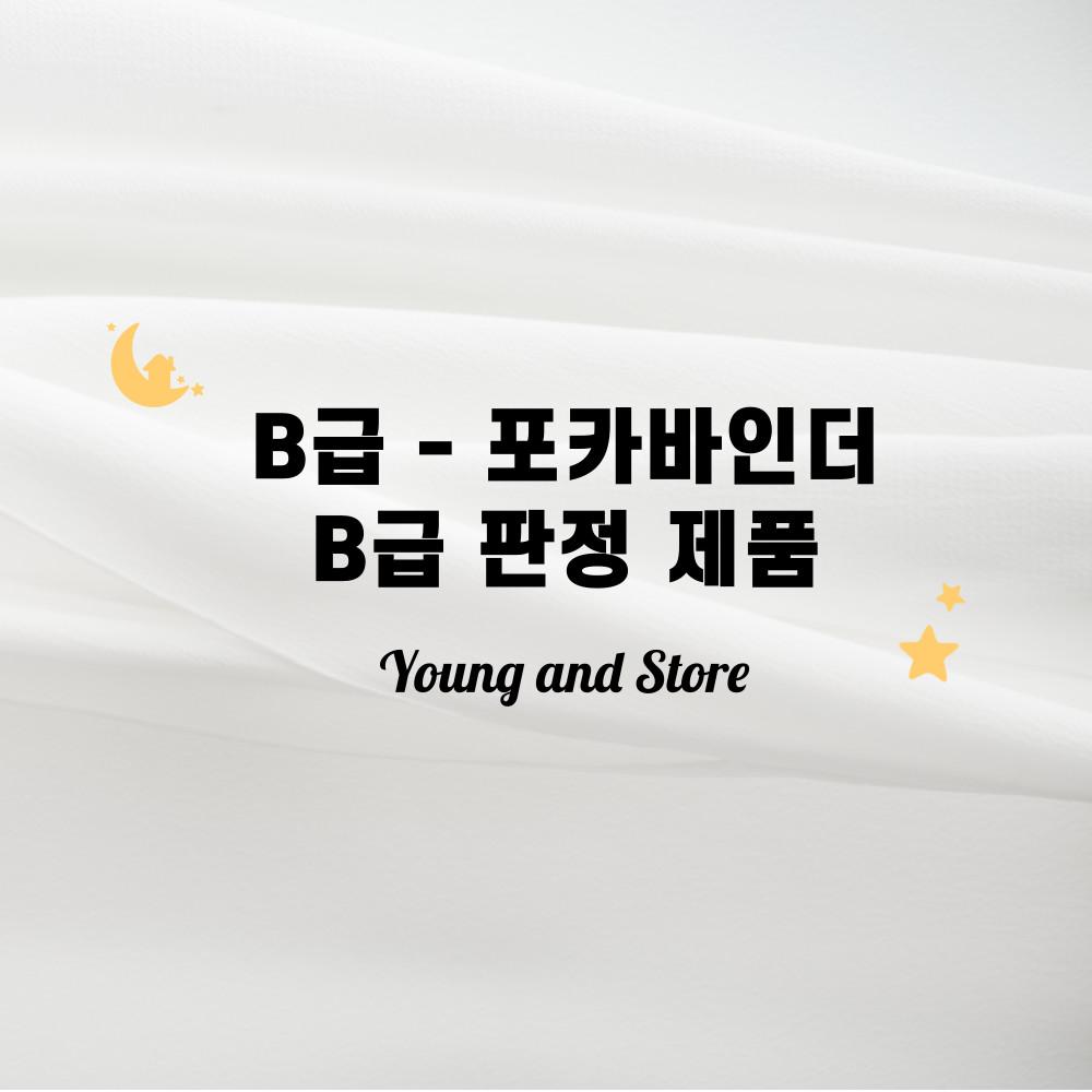 B급 3공 포카 바인더 삼공 다이어리 미니 속지 포함 투명 포토 카드 앨범 글리터 아미보