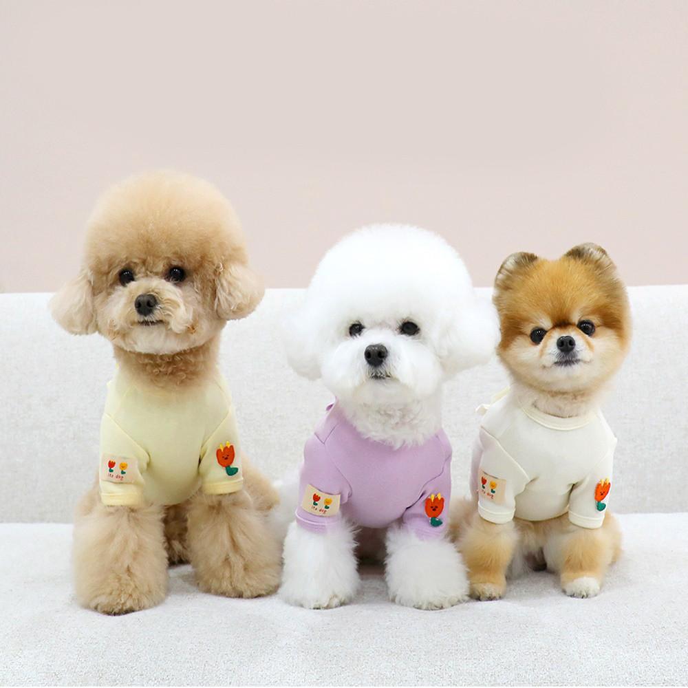 슈슈 프릴 티셔츠 강아지옷 여름옷 소형견 반려견 애견의류 산책