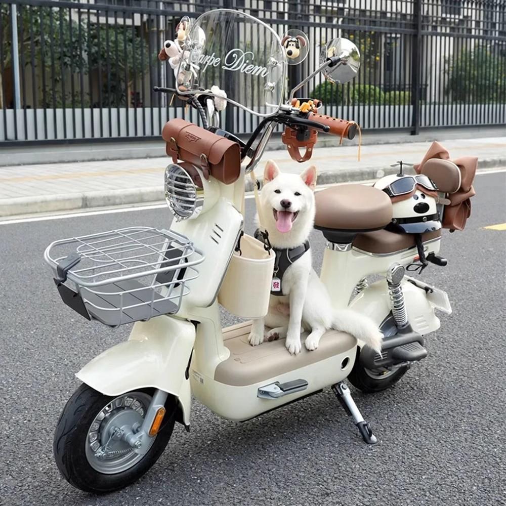 여성 전기 스쿠터 전동 미니벨로 모토벨로 이륜차 전기자전거