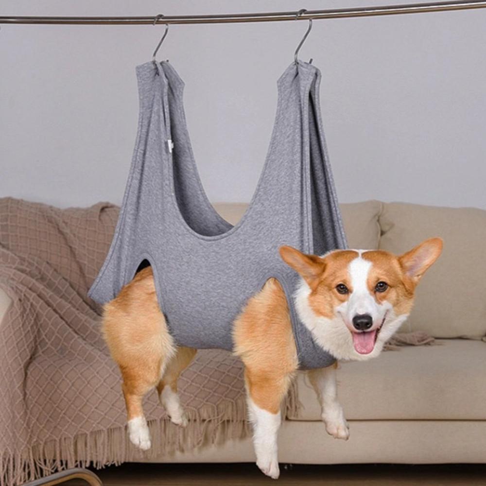 딩동펫 반려동물 플란넬 미용해먹