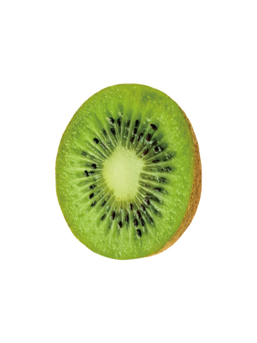 [Project 12] smart tok kiwi