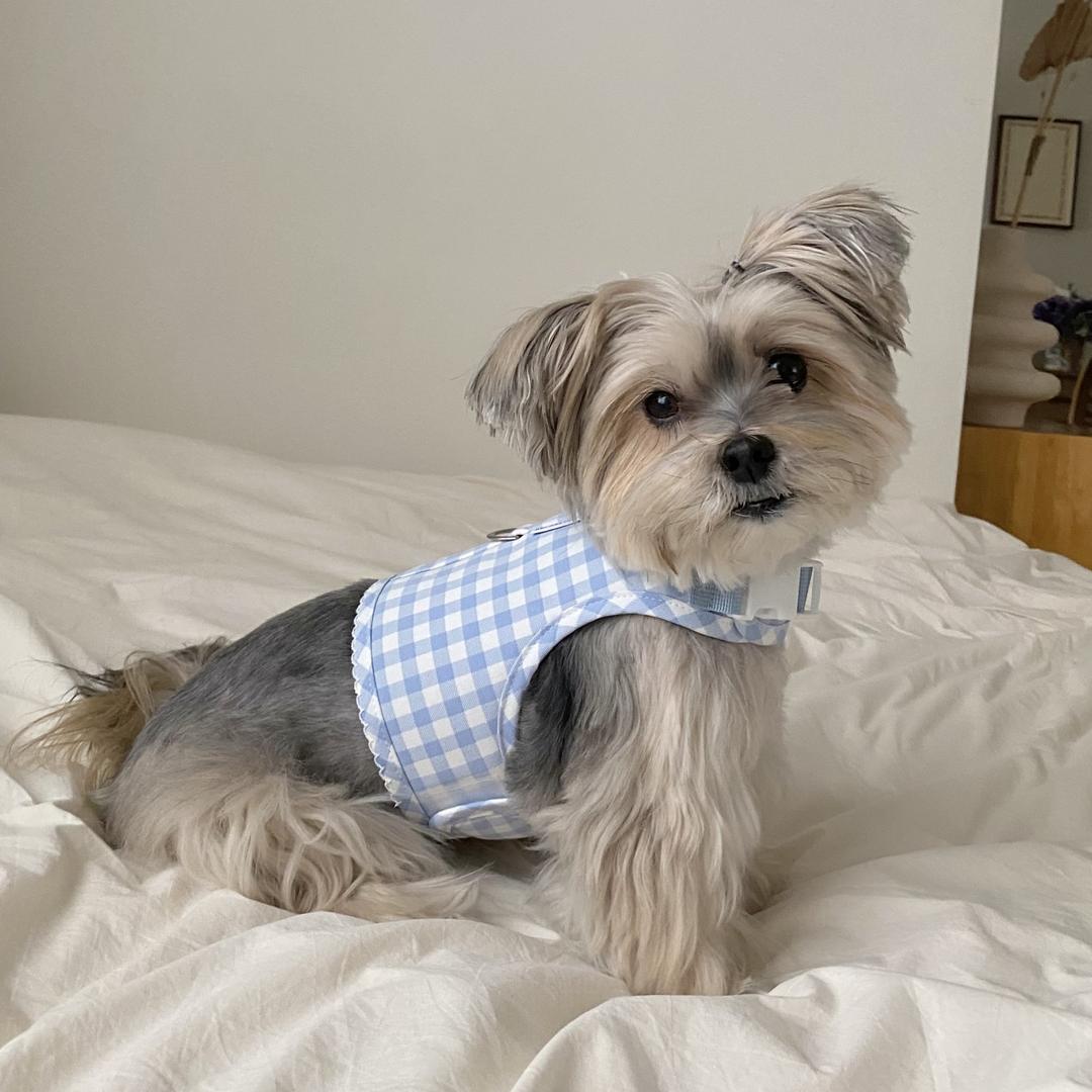 아일렛체크 하네스 Sky