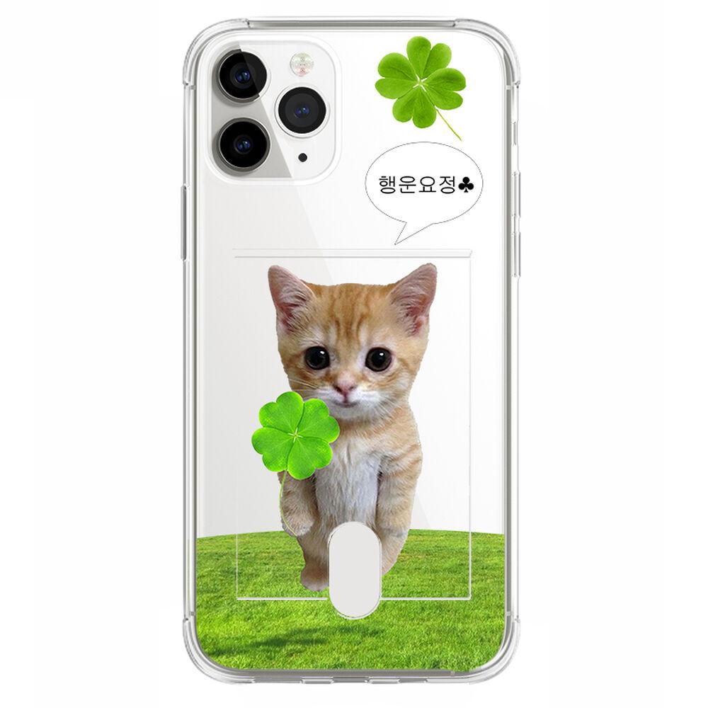 (카드젤리) 네잎 클로버 아기 고양이 카드수납 클리어 케이스