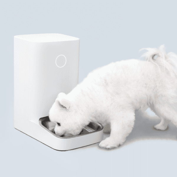스마트 자동 급식기 밀리 (강아지 자동급식기)