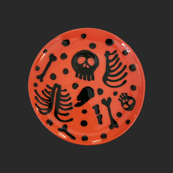 drawing pottery 본즈