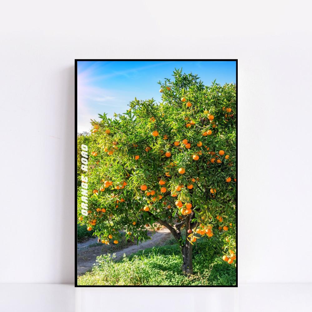 ART POSTER #383 ORANGE ROAD 포레스트 오렌지 나무 숲  사진 포스터 중문 복도 거실 안방 콘센트 벽 가리개 액자