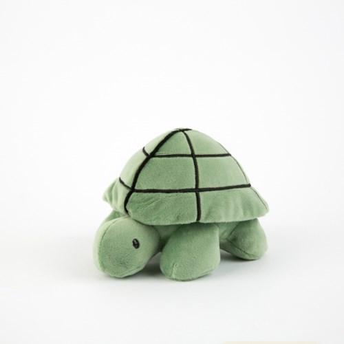 Turtle SS (Bruna Family)