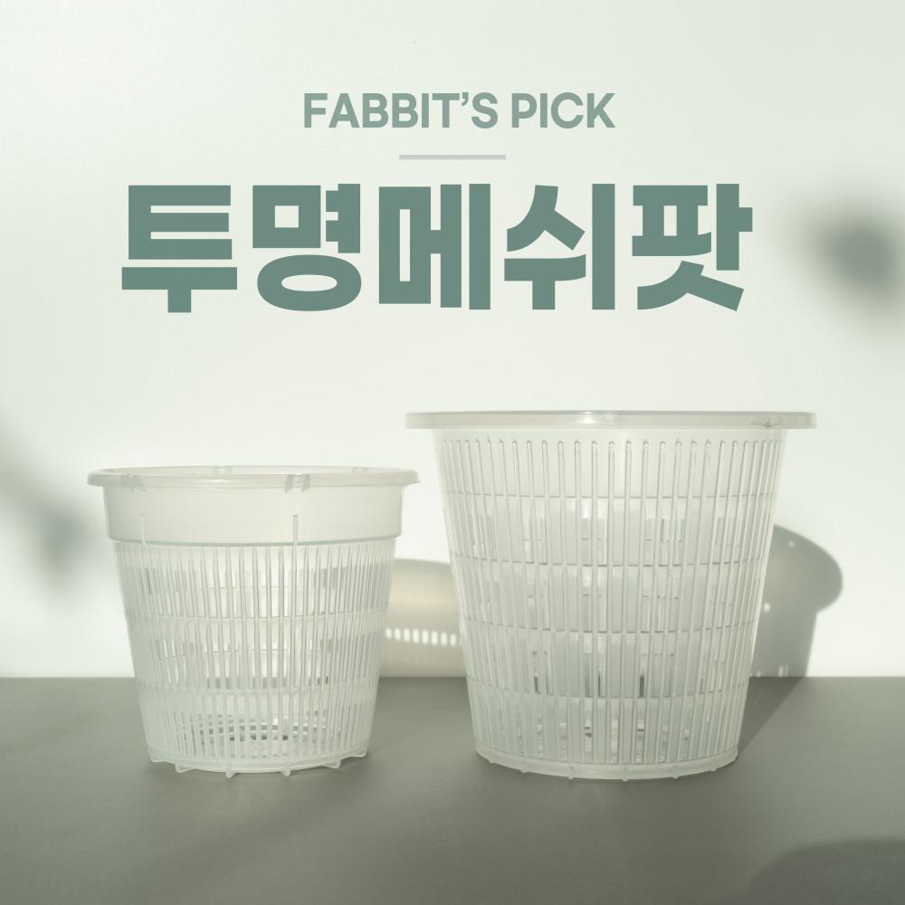 패빗 투명 메쉬팟 [10+1]  망화분 서양란 호접란 난초 플라스틱 화분 삽목용 슬릿분 통기 통풍 플분