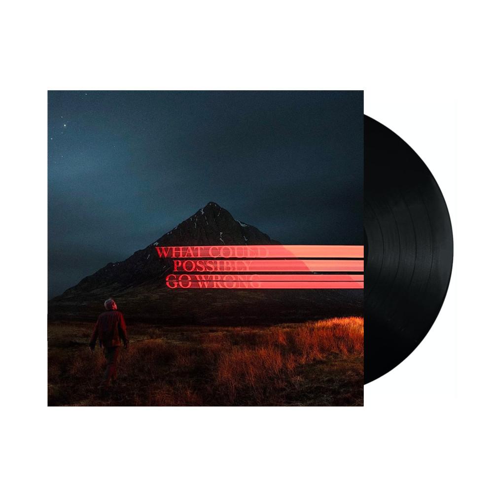 Dominic Fike - What Could Possibly Go Wrong (Vinyl, LP) 도미닉 파이크 LP