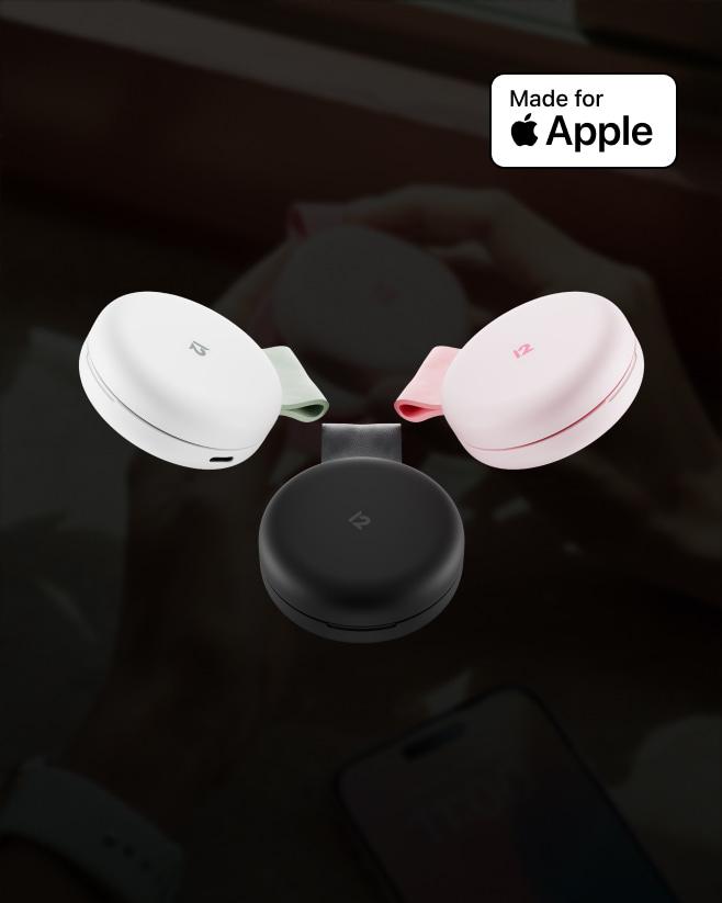 트웰브사우스 버터플라이 SE Butterfly SE