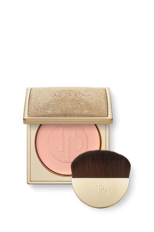 뽀아레 메티에 드 뽀아레 뿌드르 모노 301 팡팡