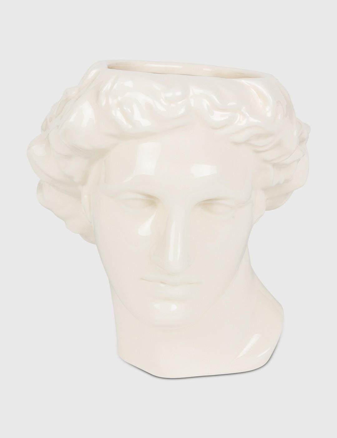 Apollo 화병