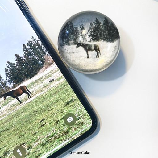 제주말 그립톡_스마트톡/핸드폰거치대