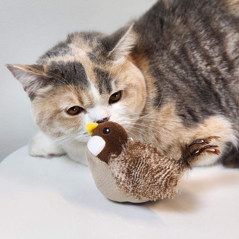 펫케어 댕글몬 소리나는 캣닢 인형 고양이 장난감 5종, 참새