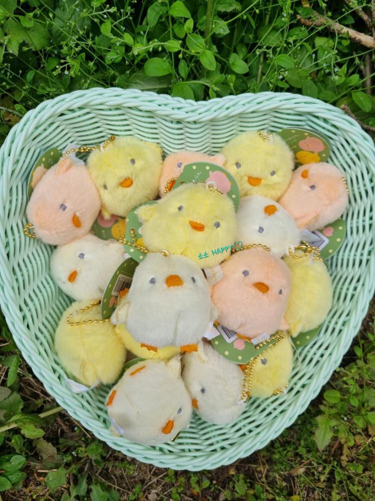 뽀시래기 병아리 키링 삐약이 키링 인형 동물 에어팟 버즈 선물