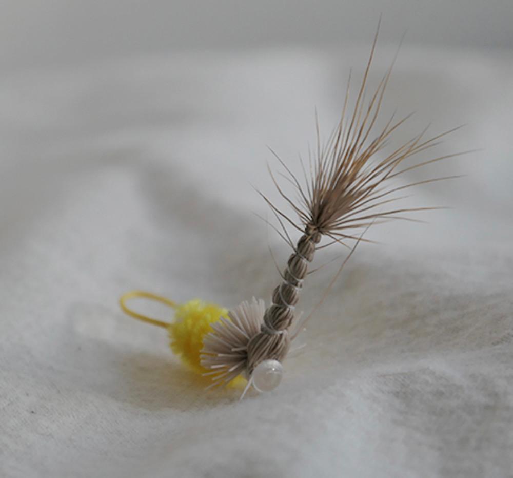 북치고 장구벌레