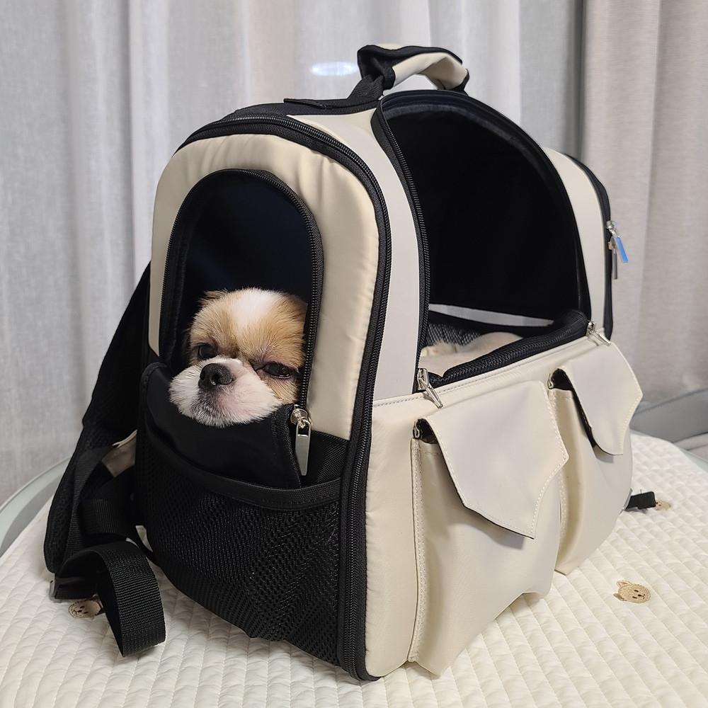 강아지 가방 애견 백팩 고양이 이동장 기내용 중형견 캐리어 애쉬베이지 M 국내제작