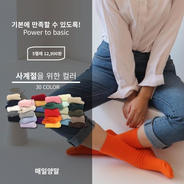 골지양말 주르미 1세트 - 5켤레