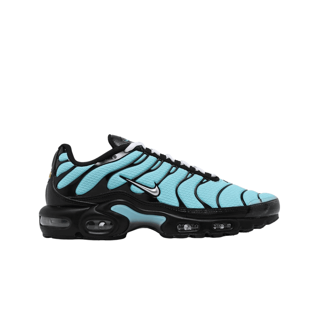 Nike Air Max Plus Aqua Metallic Silver