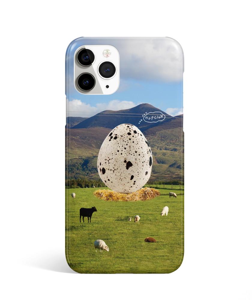 quail’s egg case 하드케이스, 폰케이스 아이폰케이스 아이폰13 프로 맥스 유광하드 : nap club