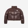 (W) The North Face White Label Novelty Nuptse Down Jacket Cocoa Brown