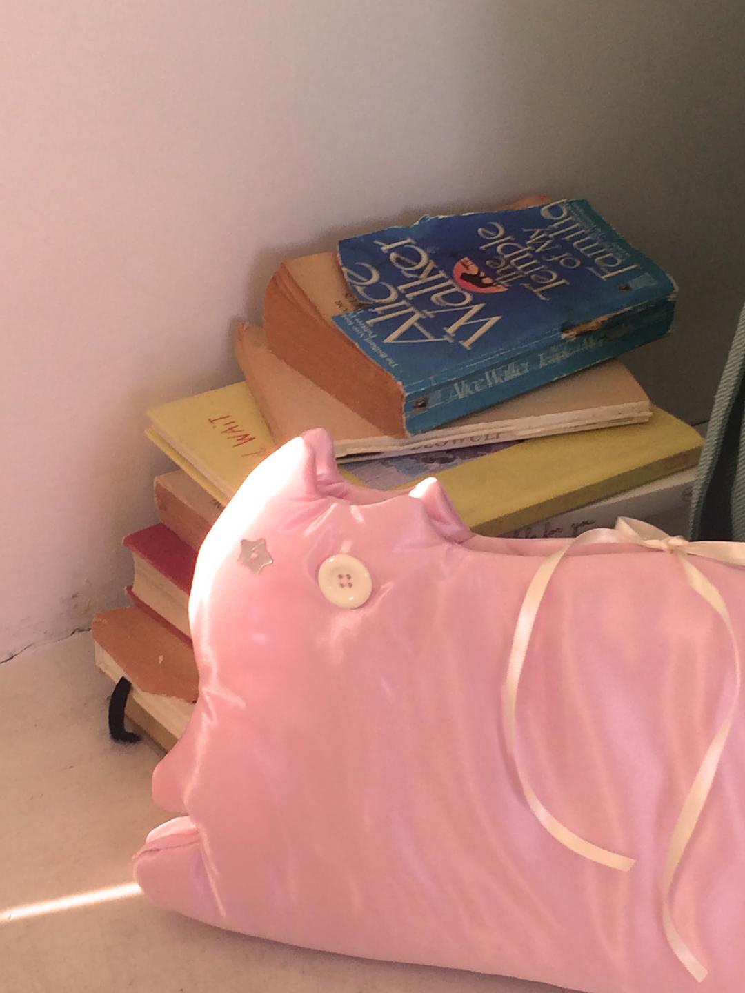 Cat book cover _ strawberry