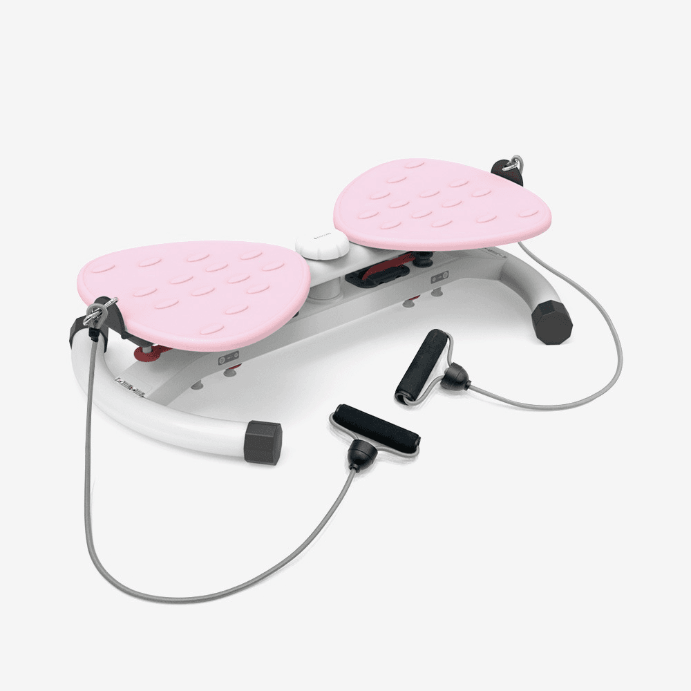 이고진 트위스트 엑스 스텝퍼