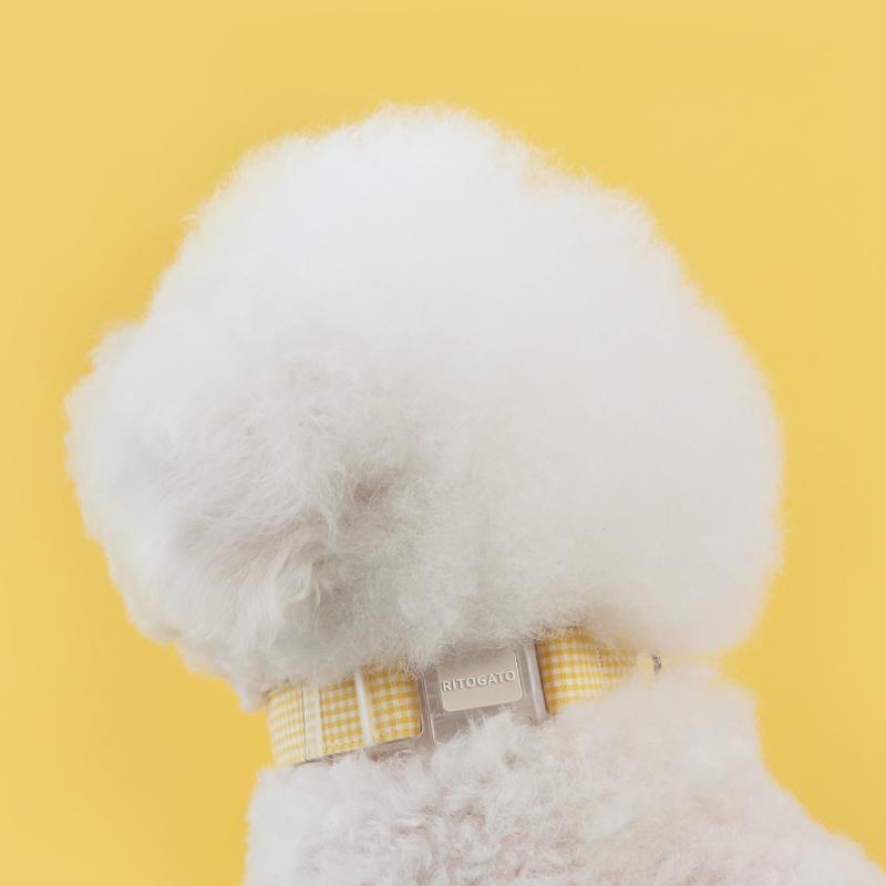 리토가토 코튼캔디 강아지 목줄