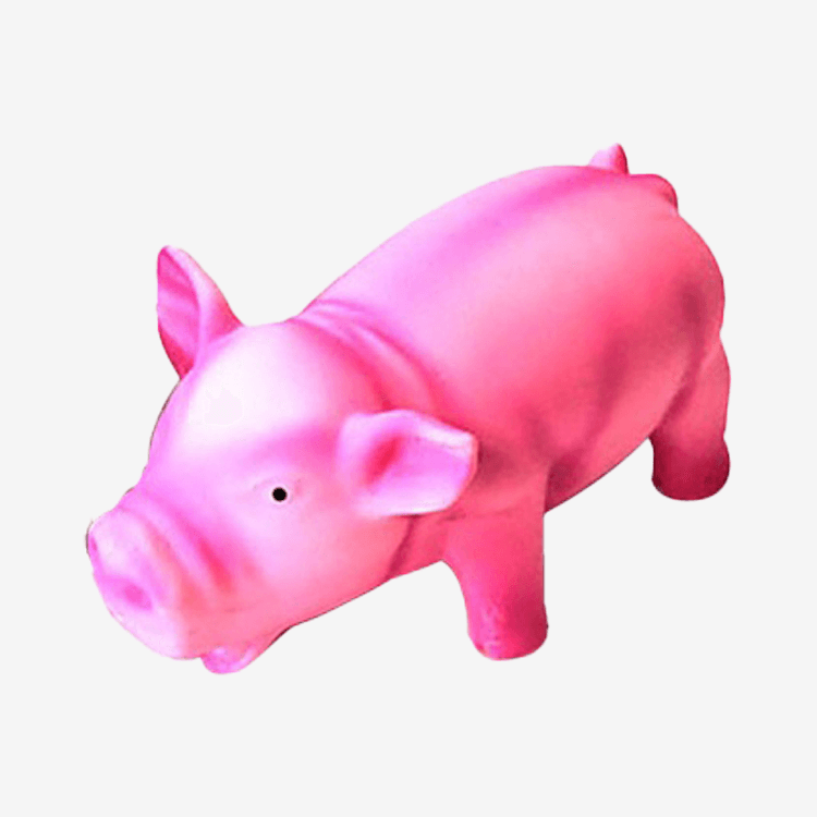 펫모닝 라텍스 피그토이 (1P)