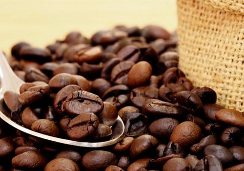 스위스 지보단 통카 빈