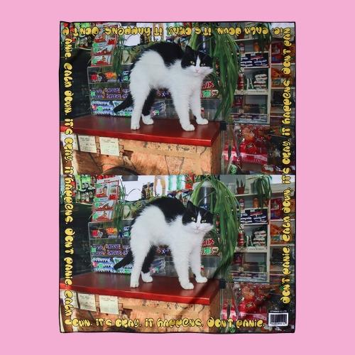 FABRIC POSTER_DON'T PANIC