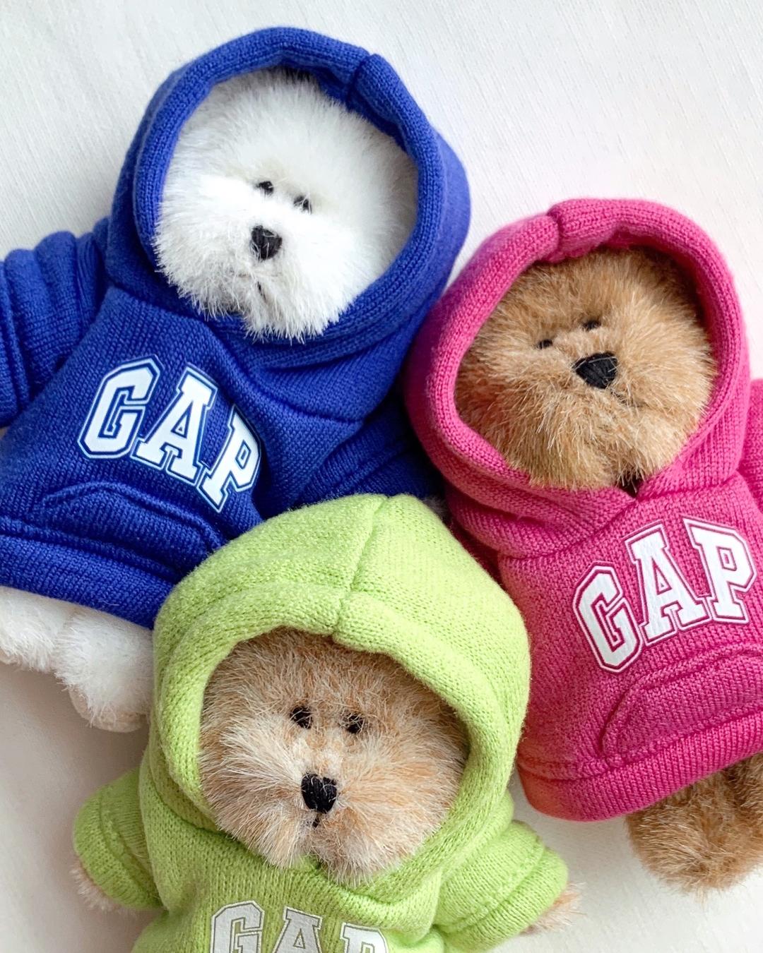 GAP message bear hood clothes [5 colors]