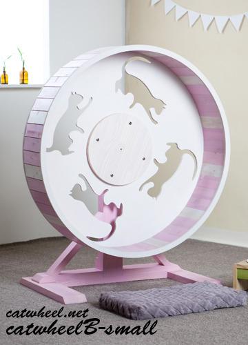 catwheel B-small