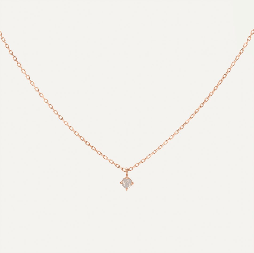 앨리스원더월드가든 MF018N1