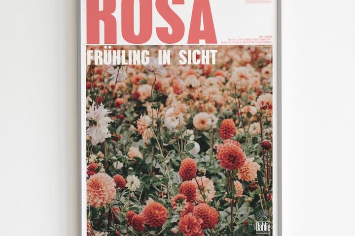 인테리어 아트 포스터 _ ROSA (A1 5070 A2 A3 size / frame3종)