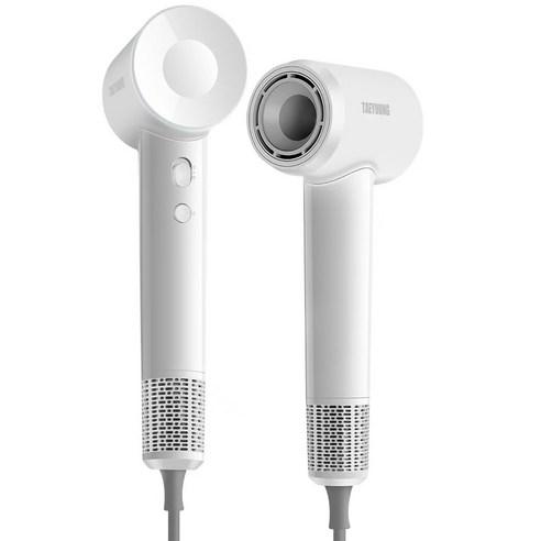 TAEYOUNG 초고속 헤어 드라이어 1600W BLDC항공 모터 110000rpm 음이온 드라이기 LG-02 - 드라이어 | 쿠팡