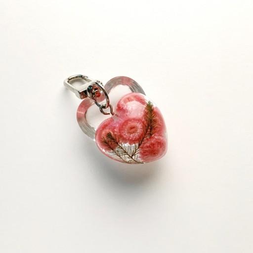 🍓strawberry forest🌲