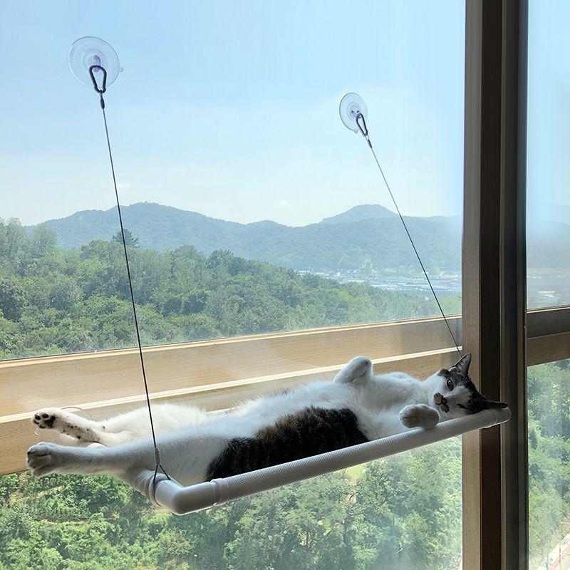 그레이독 윈도우 해먹 화이트