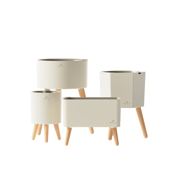 올리 인테리어 저면관수 화분 플라스틱 실내 대형 미니 OLGP