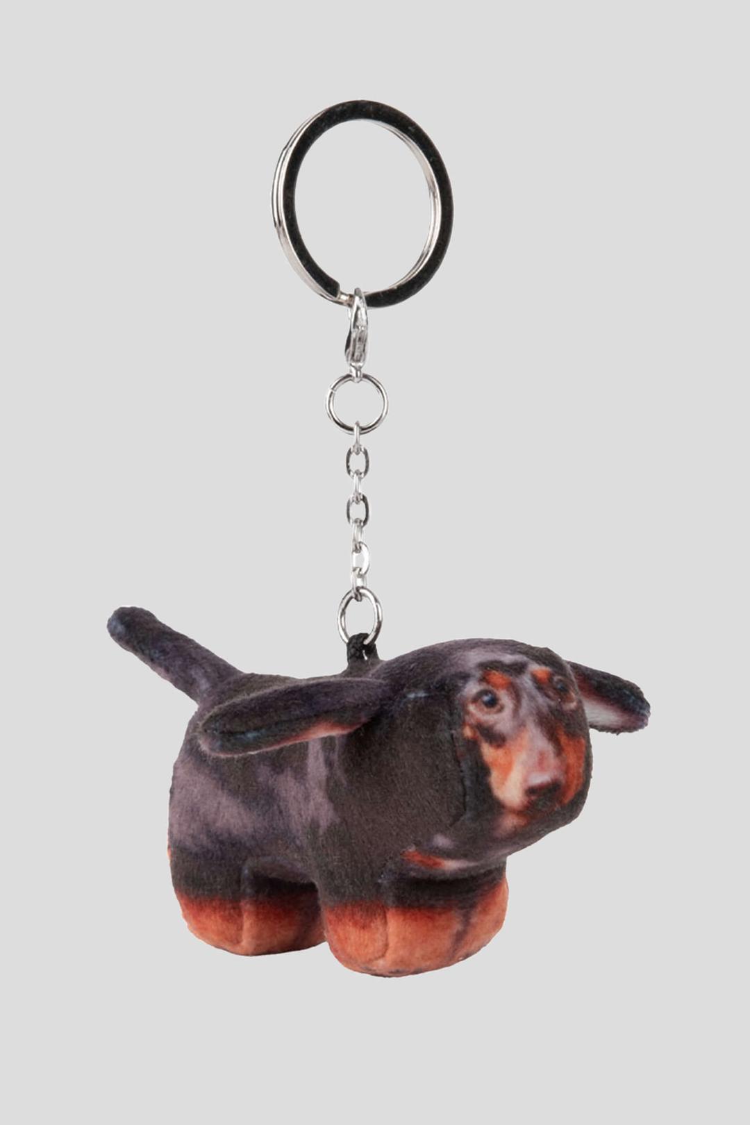 Duke, Dachshund