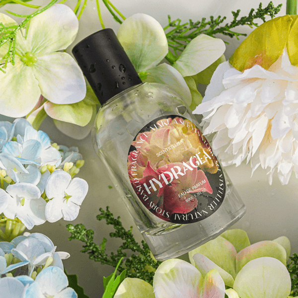 [SCENTSTELLER 센츠텔러] 수국 오 드 퍼퓸 50ML