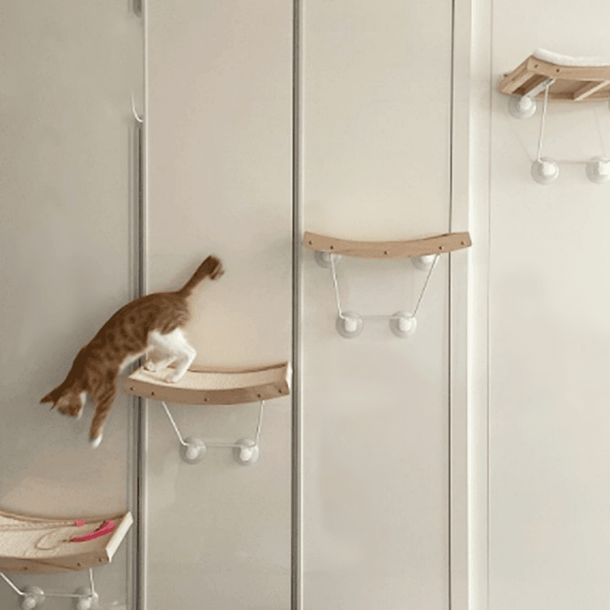 [봄맞이할인][무료배송] 해리스힐 원목 해먹 스크래쳐 M/L