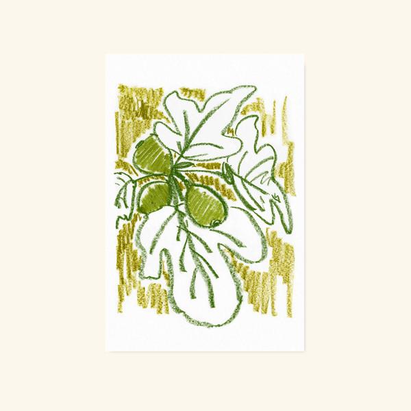 [엽서] Green Figs Postcard