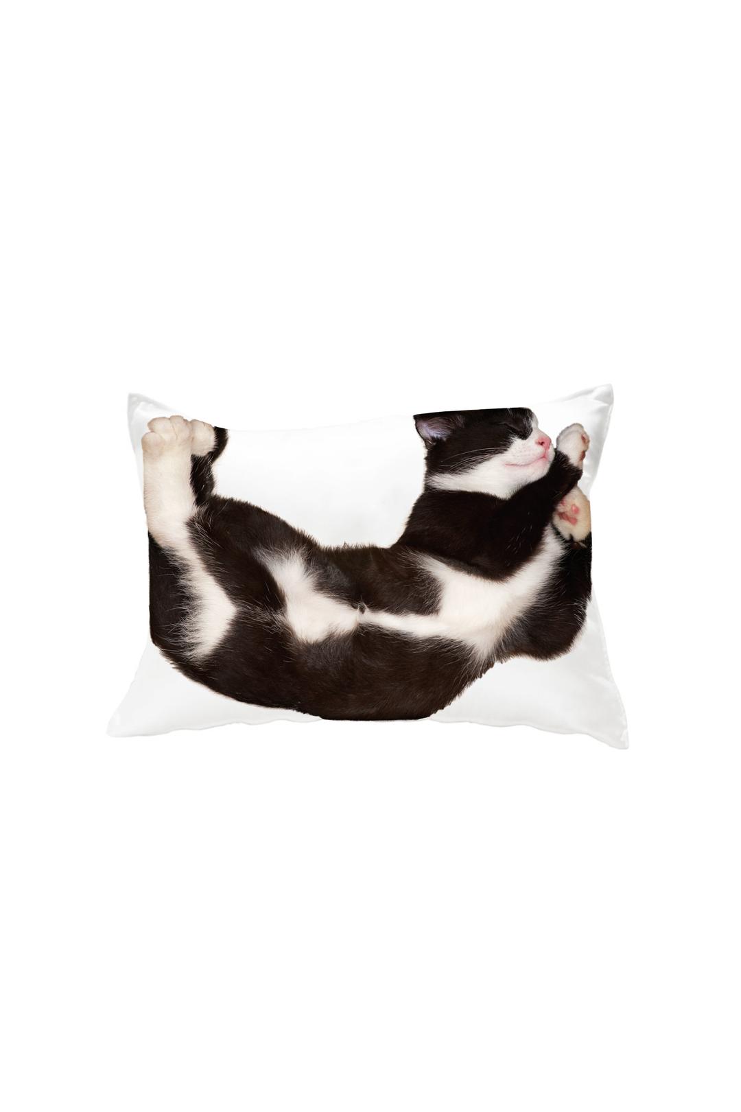 sleep cat pillow cover