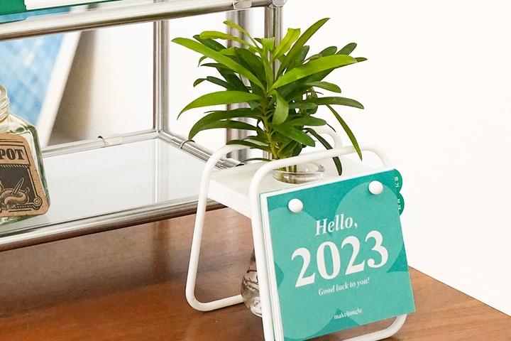 나한송_2023년 수경식물 캘린더 선물세트 No.1