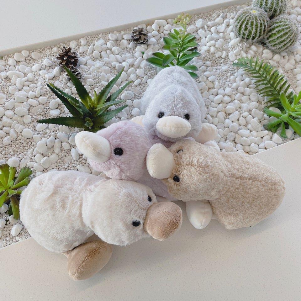 [4color] 25cm Spring Duck