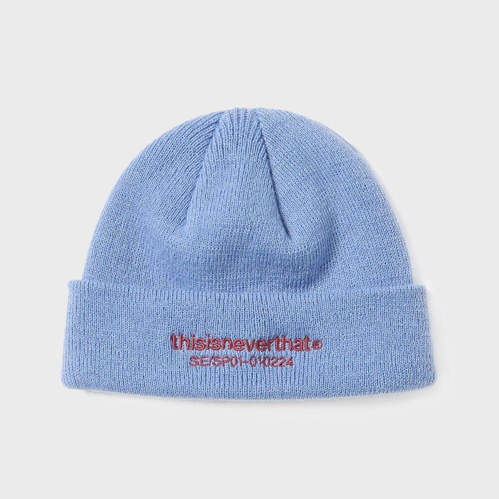 T-Logo Short Beanie Slate