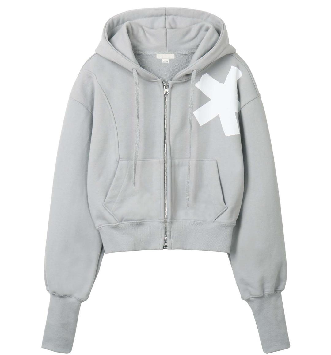 Hoodie zip-up (Gray)